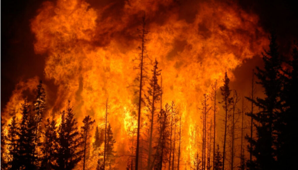 Wildfires are polluting our environment more than we thought: Find out how