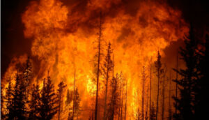 Wildfires are polluting our environment more than we thought: Find out how